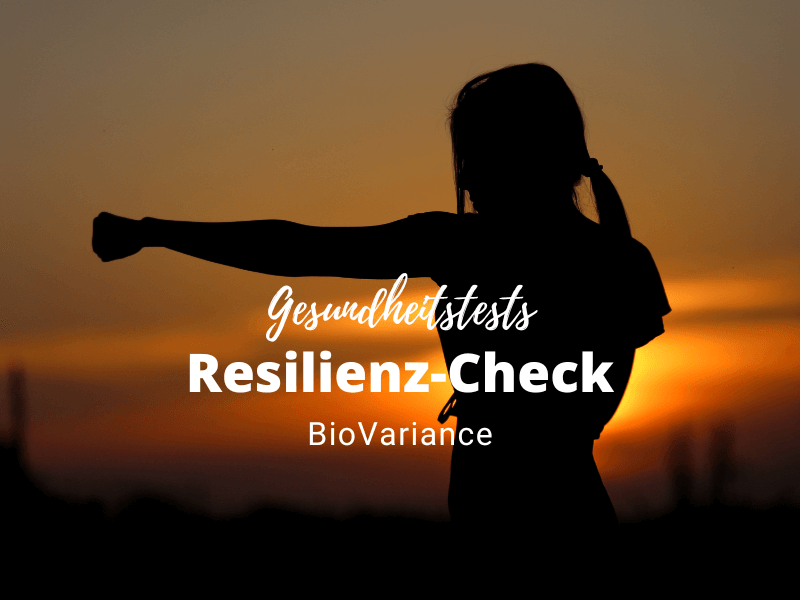 Testkit: Resilienz-Check