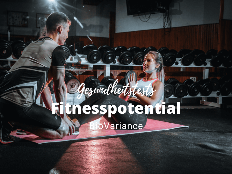 Testkit: Fitnesspotential